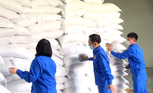 Xuất cấp gạo và giống cây trồng cho 3 tỉnh Sơn La, Điện Biên, Ninh Thuận